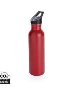 Deluxe stainless steel activity bottle