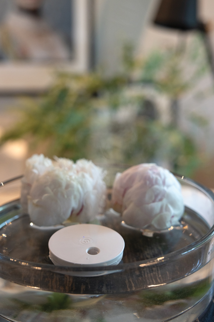 Breevia RCS rplasic re-chargeable floating humidifier - Image 6