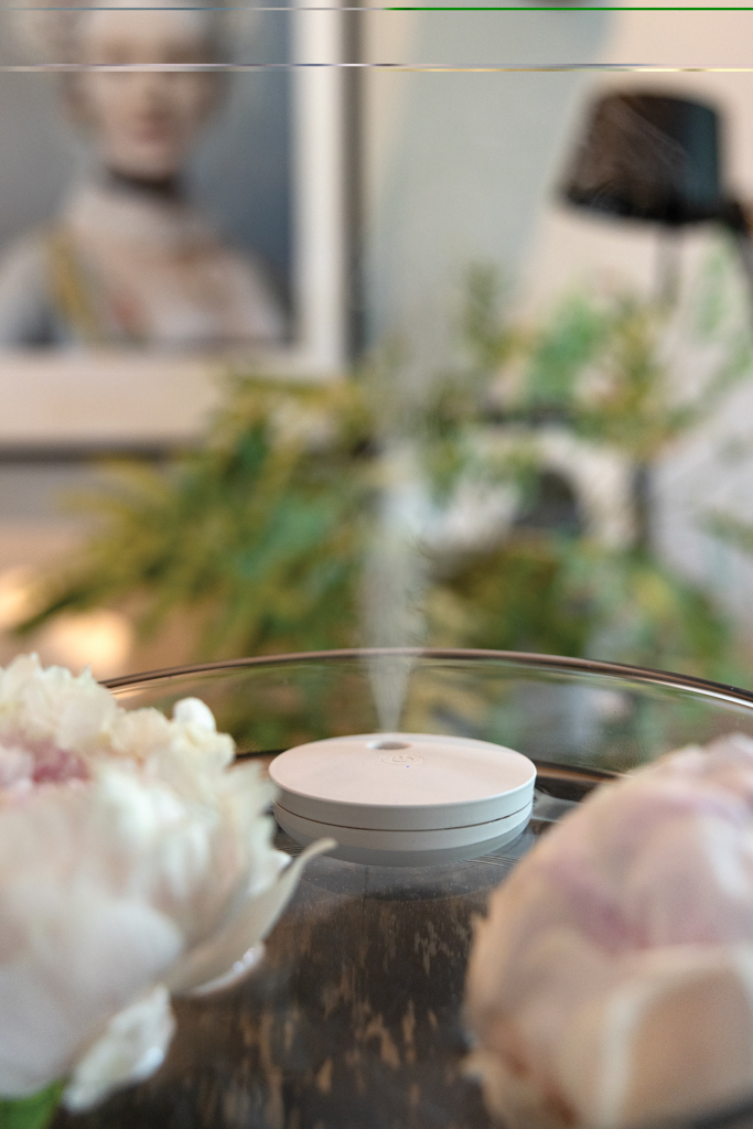 Breevia RCS rplasic re-chargeable floating humidifier - Image 7